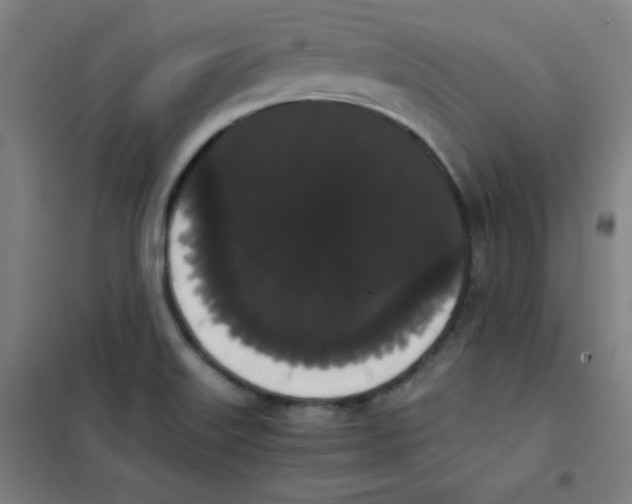 X0000101391515200808041005