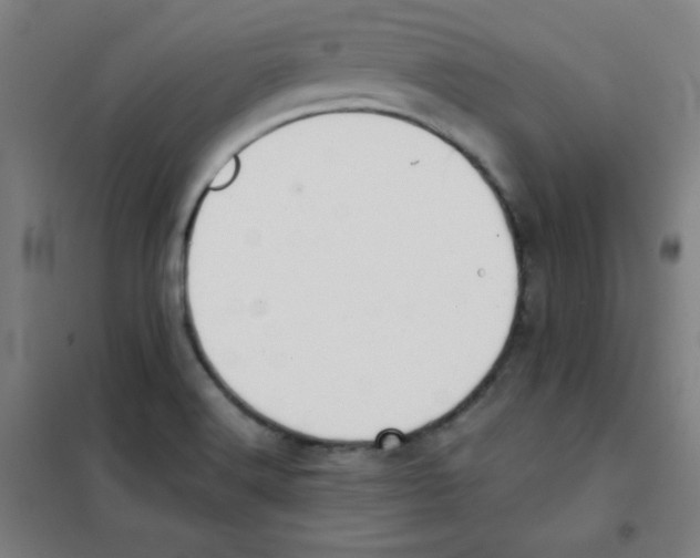 X0000101391516200808041005