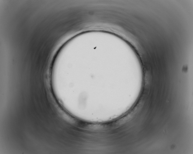 X0000101391517200808041005
