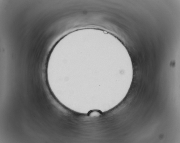 X0000101391518200808041005