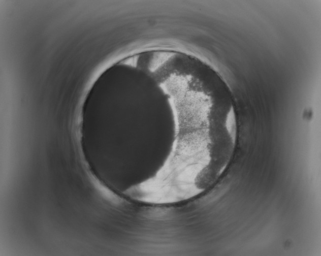 X0000101391519200808041005