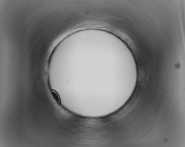 X0000101391520200808041005