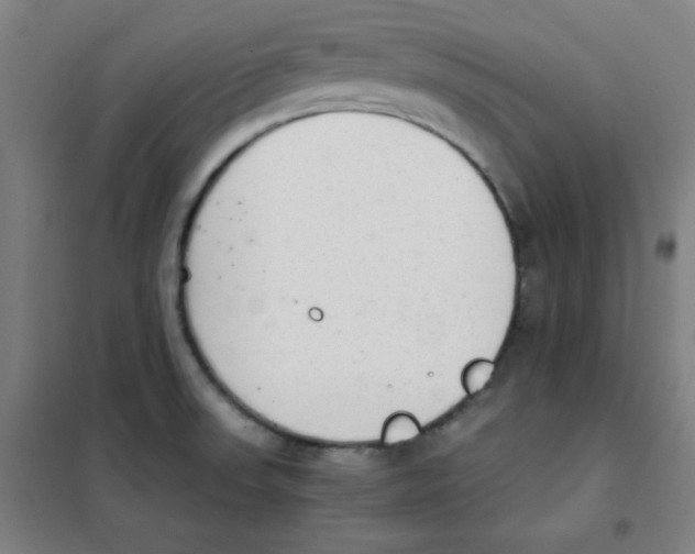 X0000101391523200808041005