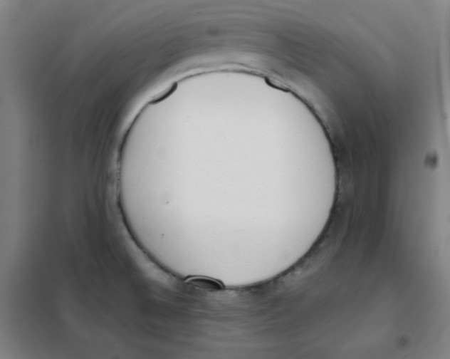X0000101391524200808041005