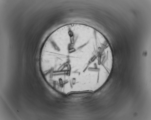 X0000101391525200808041005