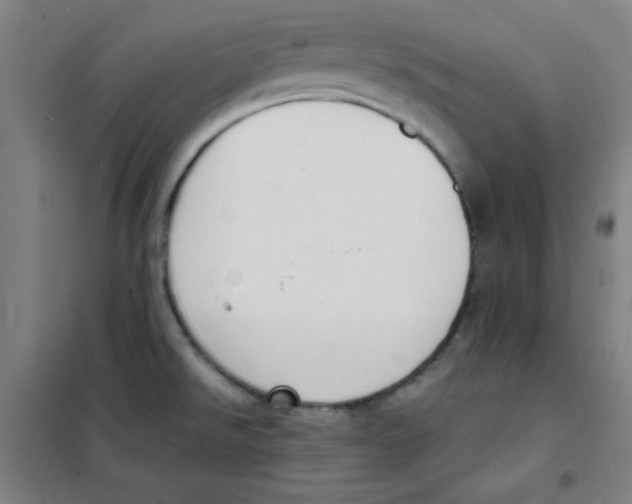 X0000101391526200808041005