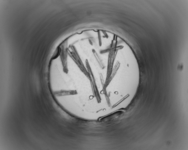 X0000101391527200808041005