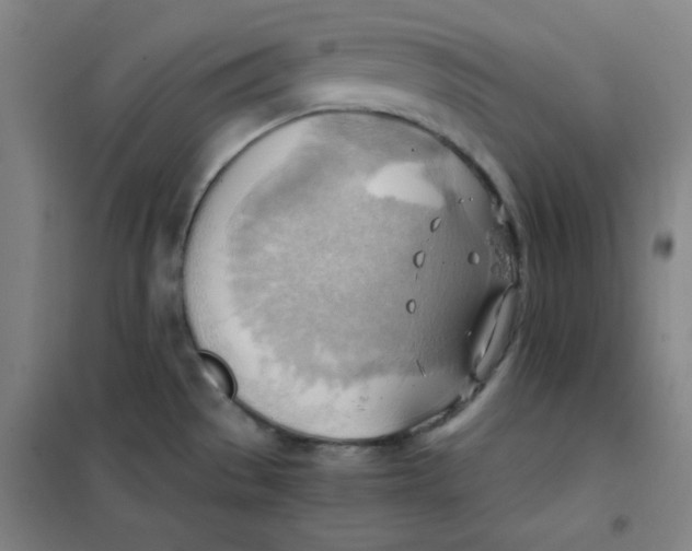 X0000101391529200808041005