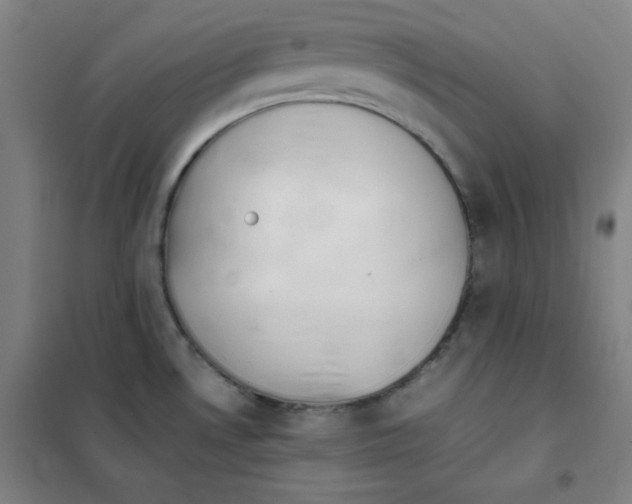 X0000101391530200808041005