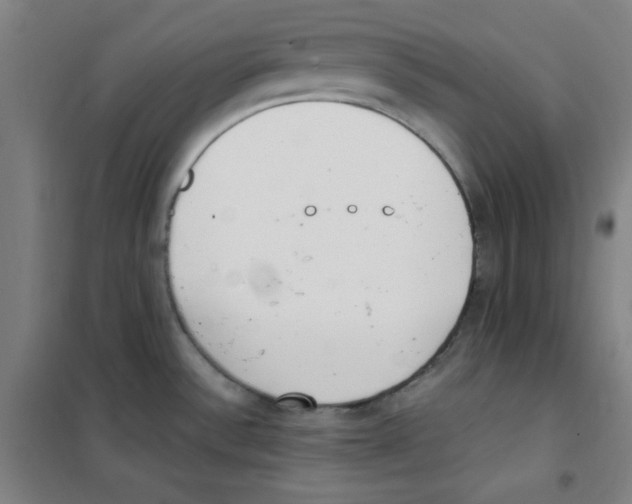 X0000101391532200808041005