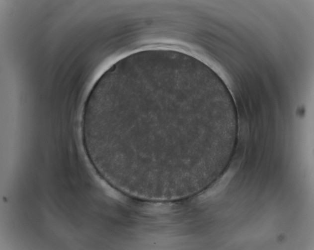X0000101391533200808041005