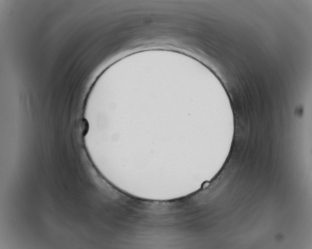 X0000101391534200808041005