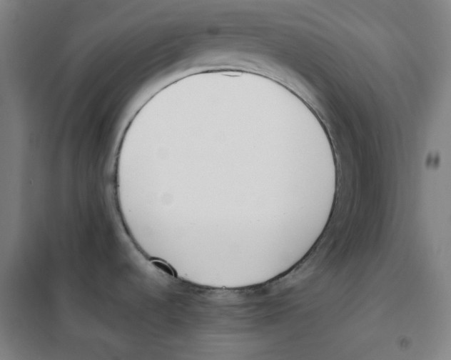 X0000101391536200808041005