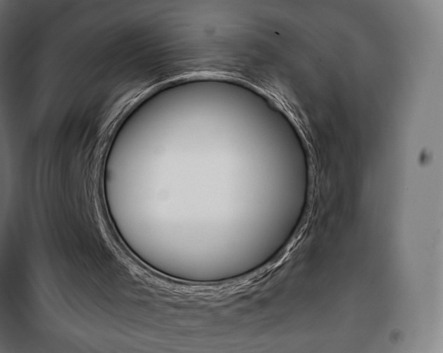 X0000101400001200807071041