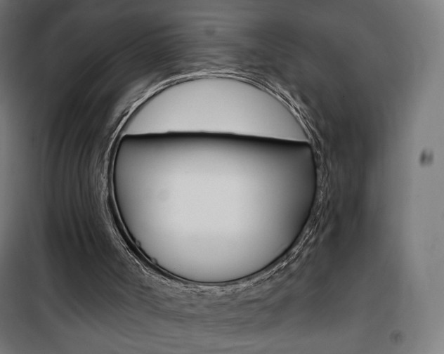 X0000101400002200807071041