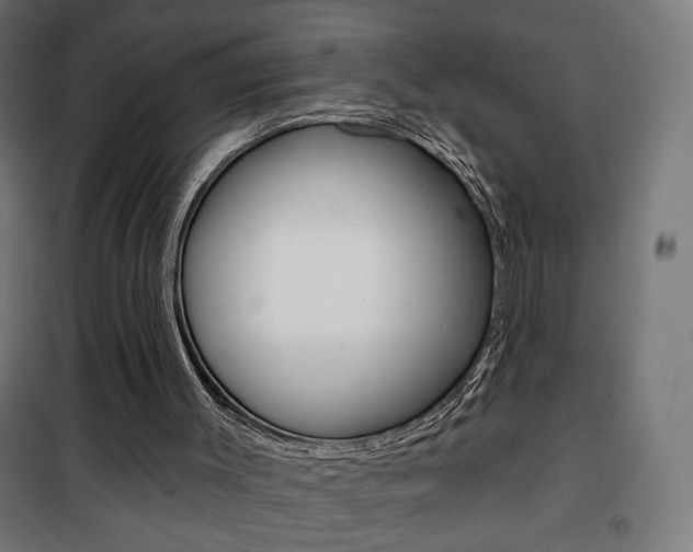 X0000101400003200807071041