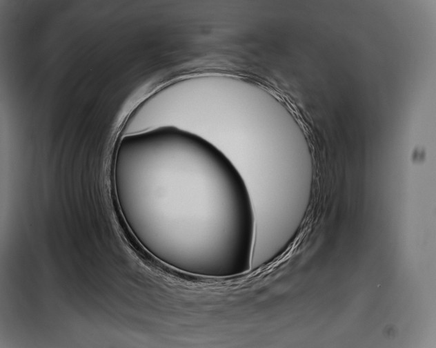 X0000101400004200807071041