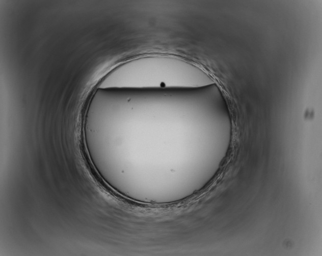 X0000101400005200807071041