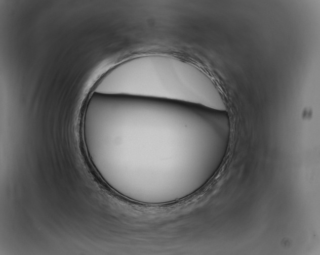 X0000101400006200807071041