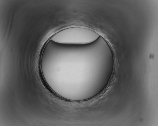 X0000101400007200807071041