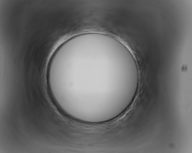 X0000101400008200807071041