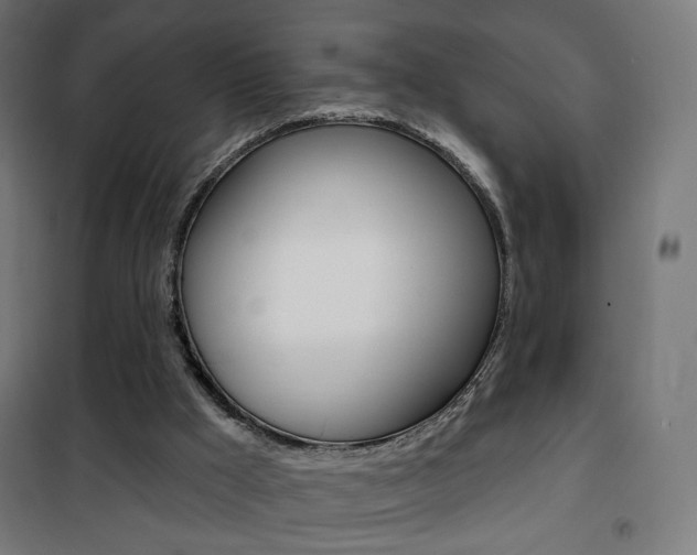 X0000101400009200807071041