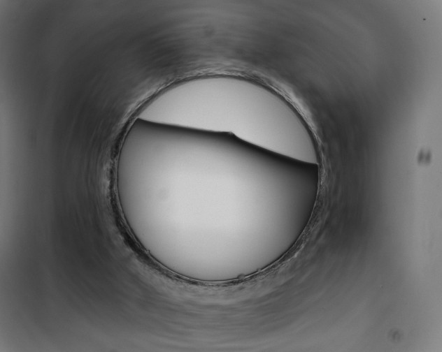 X0000101400010200807071041