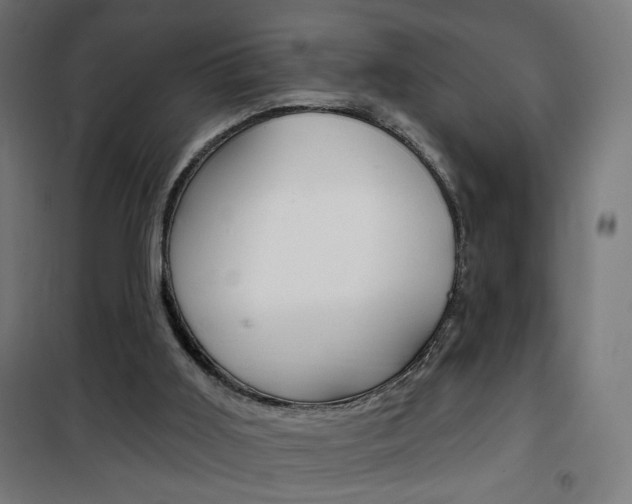 X0000101400011200807071041