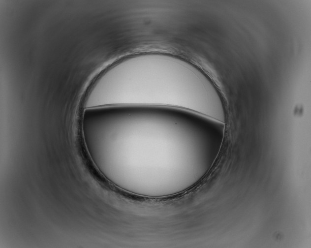 X0000101400012200807071041