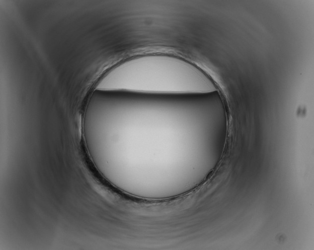 X0000101400013200807071041