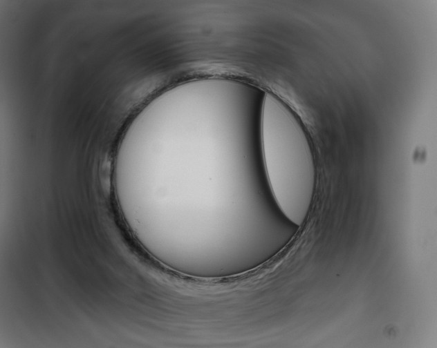X0000101400014200807071041