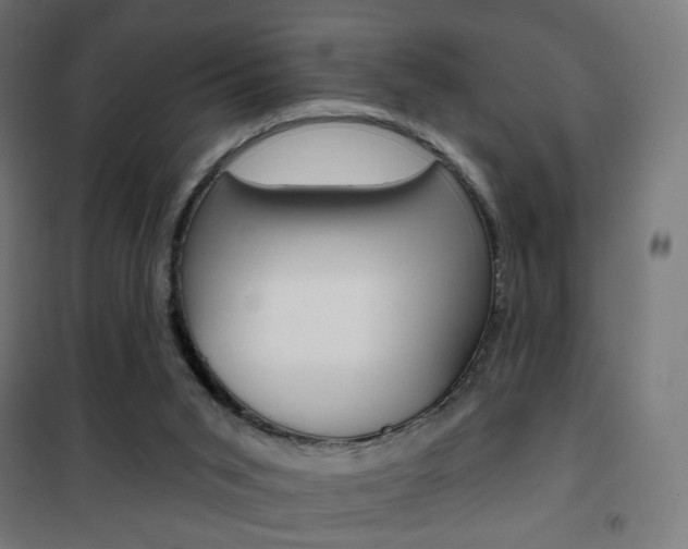 X0000101400015200807071041
