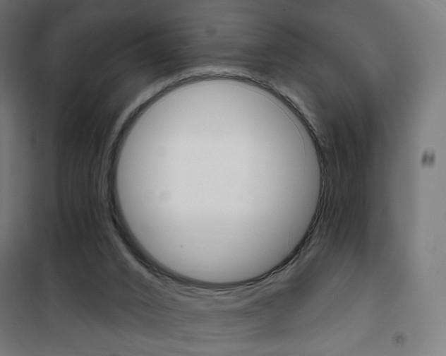 X0000101400016200807071041