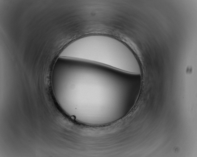 X0000101400017200807071041