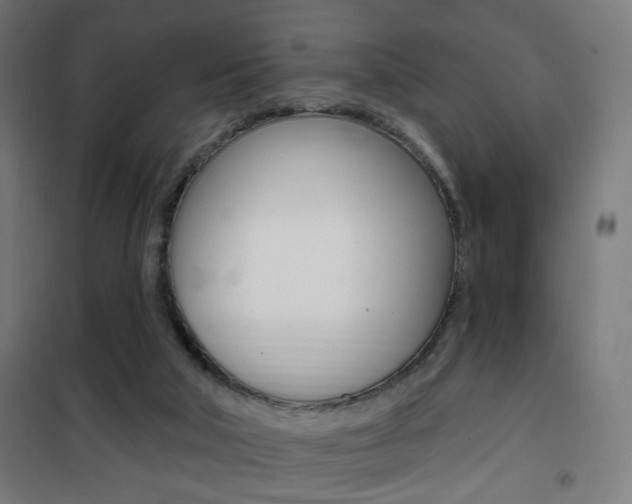 X0000101400018200807071041