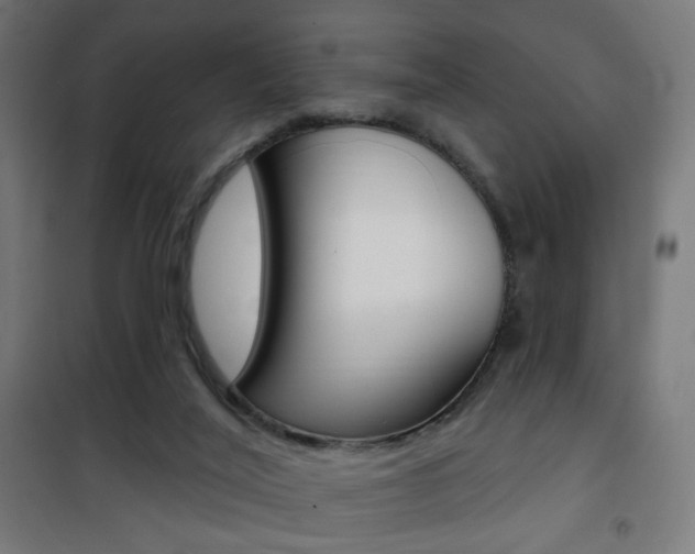 X0000101400020200807071041