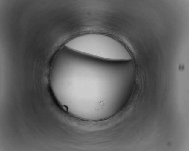 X0000101400023200807071041