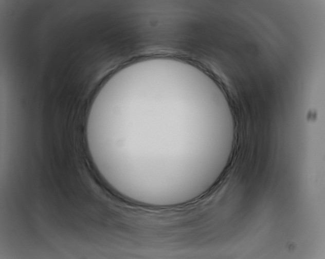 X0000101400024200807071041