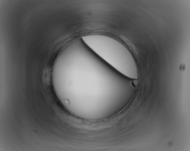 X0000101400026200807071041