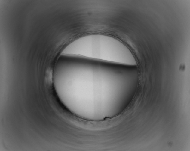 X0000101400027200807071040
