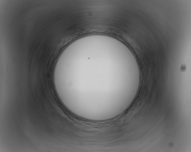 X0000101400028200807071040