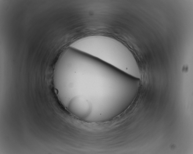 X0000101400030200807071040