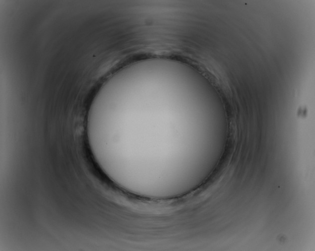 X0000101400032200807071040