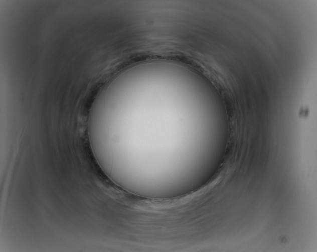 X0000101400033200807071040