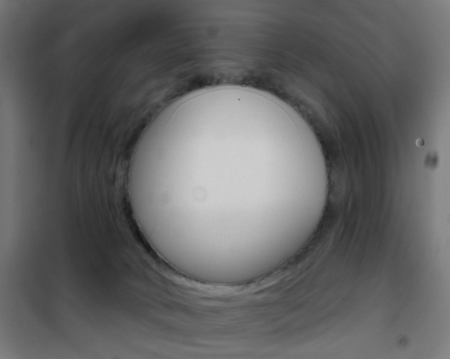 X0000101400034200807071040