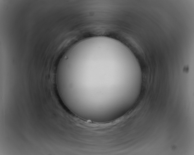 X0000101400035200807071040