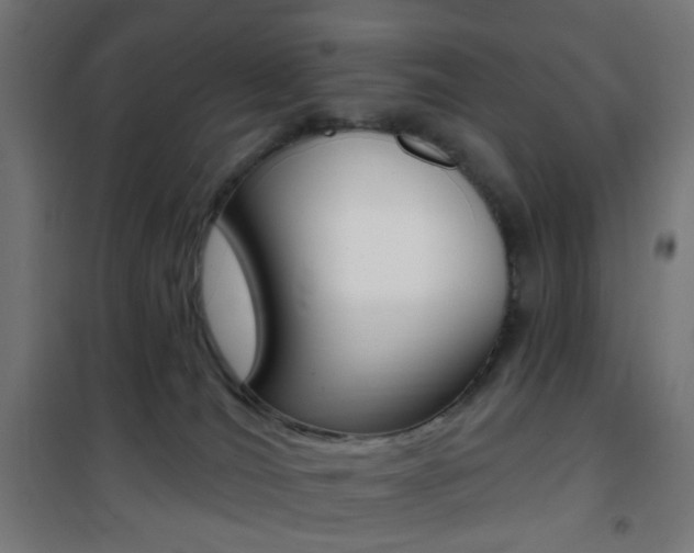 X0000101400036200807071040