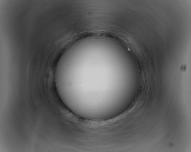 X0000101400037200807071040