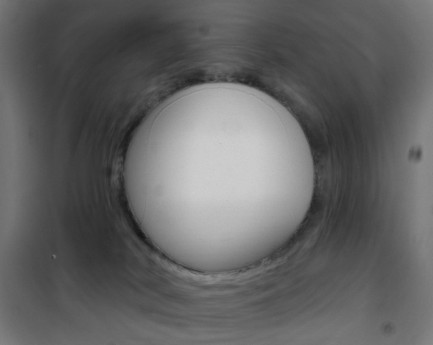 X0000101400038200807071040