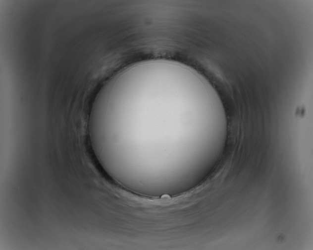 X0000101400039200807071040